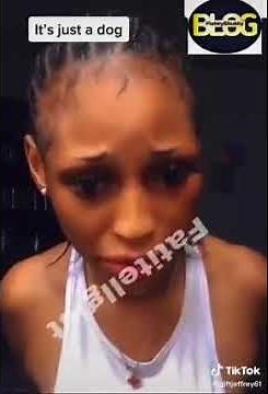 dubai porta potty dog(i just sleep with a dog)