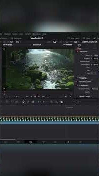 DaVinci Resolve 21: Fit Video with Scale Full Frame or Stretch Options