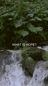 4.7K views · 37 reactions | Hope keeps us secured to the promises of God! "This hope is a strong and trustworthy anchor for our souls. It leads us through the curtain into God’s inner sanctuary." (Hebrews 6:19 NLT) Learn about God's promises here: https://bit.ly/KathedralYT #hope #PromisesOfGod #promise | HighPoint Church | Facebook