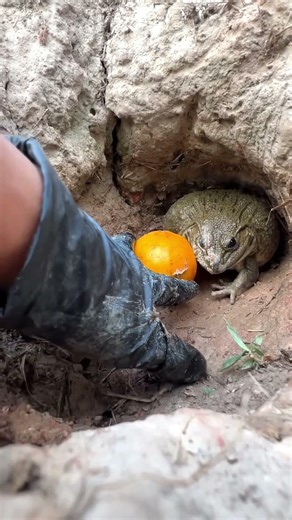 Mai to dar hi gya 🤣😀 #shorts #viral #trending #youtubeshorts ‪@sachinRaj002‬