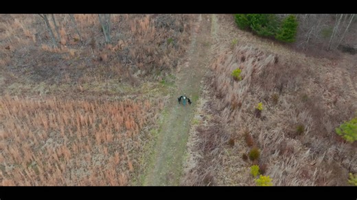 SpotOn GPS Fence has kept my two black labs, Hunter and Teal, safely on our property for years. The New SpotOn Nova takes it further - better accuracy, tougher build, and features like custom voice commands that make real-world training easier.