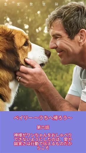 ハイスコア映画のおすすめ解説