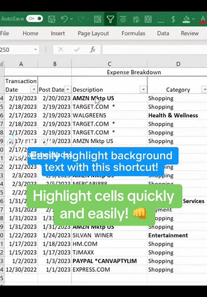 Highlight cells easily with this simple shortcut! 👍🙌 #excel #exceltips #exceltricks #spreadsheet #shortcut