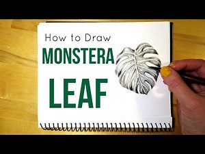 How to Draw a Monstera Leaf || Leaf Drawing in Pencil