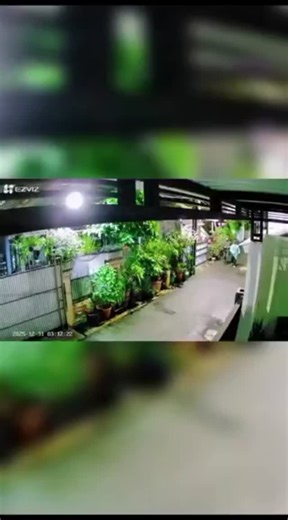 Kalla Birru on Instagram: "Rumah Dj Donny diteror bom molotov tapi apinya keburu mati. Ngeri juga ya udah maen teror-teorran. #beritaterkini #beritaviral #reels #semuaorang #jangkauanluas"