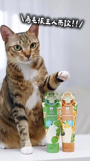 115K views · 54 reactions | 吓！對手搽左hand cream仲去餵BB食嘢？ 得唔得㗎？唔洗驚！...