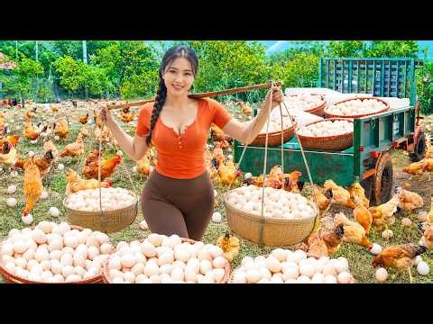 Huge Chicken Egg Harvest With 3-Wheeled Truck To The Countryside Market