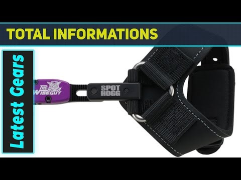 Spot Hogg Wiseguy Rigid: Unlocking Unrivaled Archery Precision