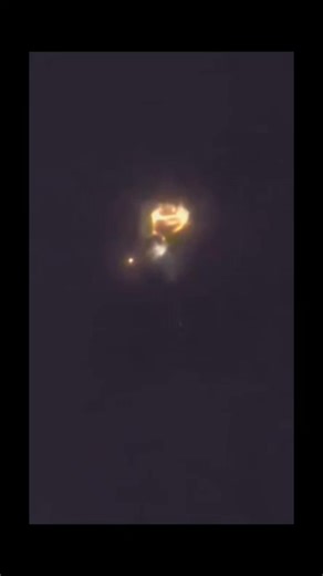 an organizm emerges | The Matrix Awakens