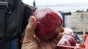 NGAYONG ARAW NG MIYERKULES NOVEMBER 19, 2025 MULING NAGBUKAS NG ISANG CONTAINER NA PUNO NG MGA PRODUKTONG BAGSAK – BAGSAK ANG PRESYO NA SAKTO SA BUDGET MO NGAYONG DARATING NA PASKO Pumunta lamang po sa Macasaet Business Complex, Roxas street, Brgy. Maligaya, PPC tabi ng PLDT. Merry Christmas po sa inyo! | Bandera News TV Philippines