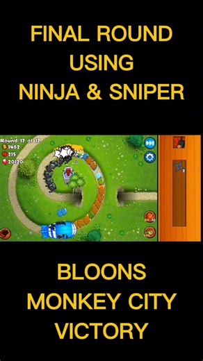 Final Round using Ninja & Sniper in BMC... 🐵