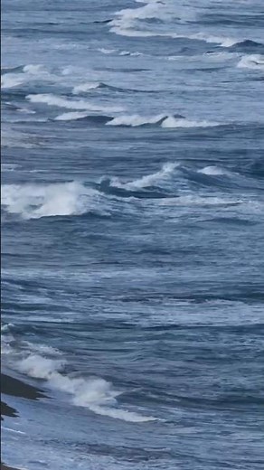 How Do Sea Waves Form? 🌊