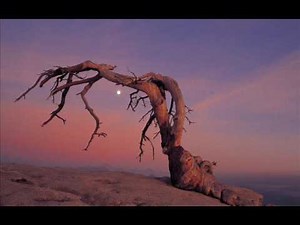 Псалтирь. Псалом 12.