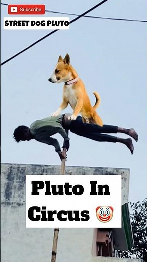 Pluto Join Circus 😨 | #423