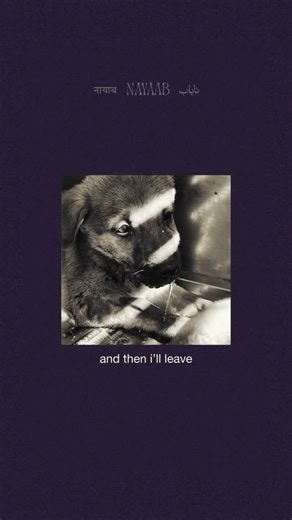 Nayaab on Instagram: "“if you believe me, ill get a home” i may not have a dog food or a bed to sleep on, but i have a heart that beats just like yours. ive known streets more than ive known safety, but i haven’t given up on humans just yet. i wag my tail for every kind word, every soft voice, every glance that says, ‘maybe this time.’ i don’t want much, just someone to believe that i deserve love too. this is me, waiting. — with love, nayaab. . . . (npo, ngo, dogs, animals, reels, instagram, tr