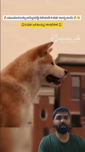 The Dog Who Waited 10 Years 😢 Hachiko’s Unbelievable Loyalty 🐕 #shorts #wildlife