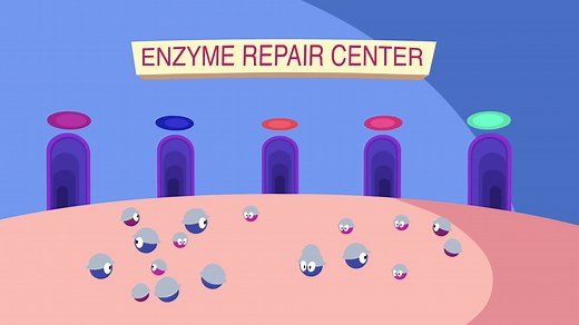 DNA怎么损伤？又是怎样修复？-形象动画演示