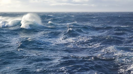 What is ocean acidification?