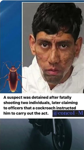 Man Kills 2 & Blames a Cockroach Talking to Him! 🪳😱 #shorts