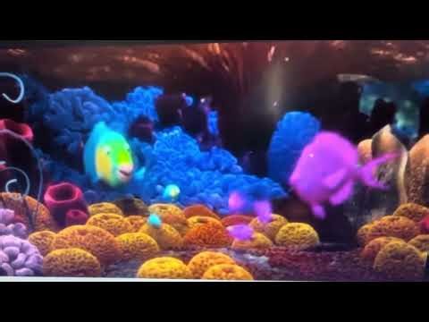 Finding Nemo (2003) sponge beds