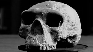Scientists rewrite human history after unlocking ancient skull's secrets