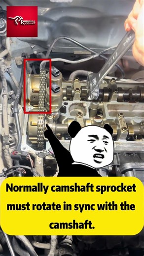 How to Check a VVT Sprocket | Camshaft & Timing Gear Inspection Guide#runningrooautoparts