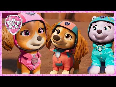 🎶 ¡El Viaje Musical Por Carretera De Skye! 🎶 | Skye - Patrulla Canina | Dibujos Animados para Niños