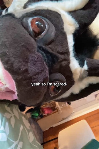 Long Awaited Hyena Quadsuit Update