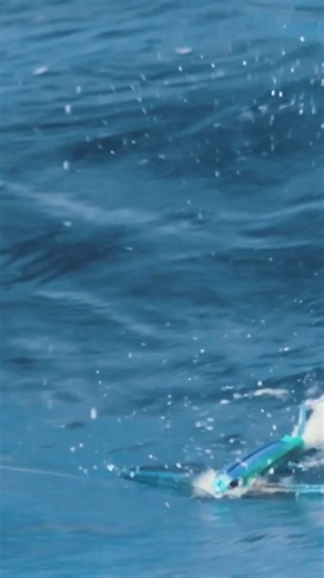 BOOM  Tuna nails the Slipstream Flying Fish off the top! All big pelagics and Billfish like Tuna, Marlin, Mahi Mahi love to chase down and nil a Flying Fish.  Cast, troll or fish from a kite. It Floats!  Extremely versatile - troll super slow or normal speed  Perfectly mimics a flying fish  Tons of rigging options | Nomad Design Tackle | Facebook