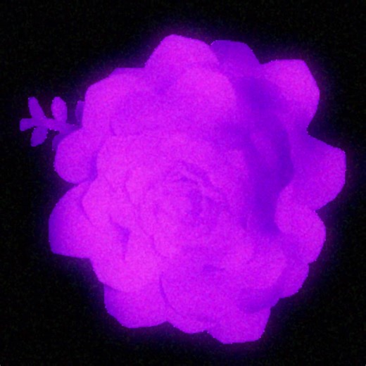 alphabet soup #altpop #singersongwriter #originalmusic #lyricedit