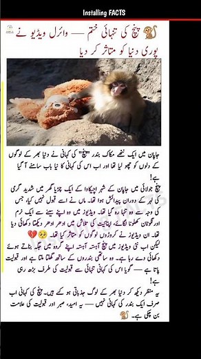 🐒 Lonely Monkey "Poncho" Finally Finds Acceptance — New Video Inspires World | Installing FACTS #43