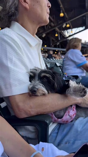 1.8K views · 70 reactions | Meaty had a little too much fun…  _fix_001 | Nature Videos | Facebook