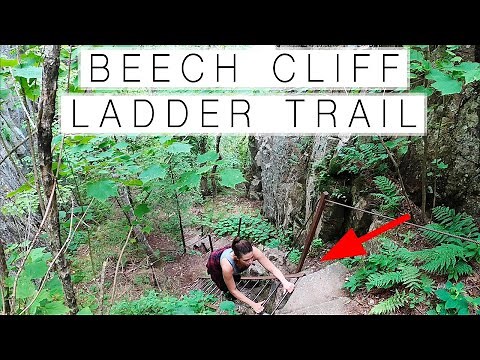 BEECH CLIFF LADDER TRAIL is INCREDIBLE! (full hike POV) | Acadia National Park // WFTV_EP22