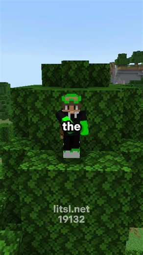 Hardest SMP Starter Guide