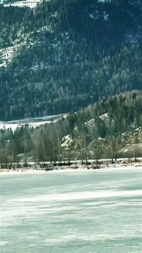That’s a lot of Norwegian wood…