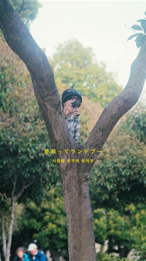 「Darling」という曲です💍🌲#BILLYBOO #Darling #band