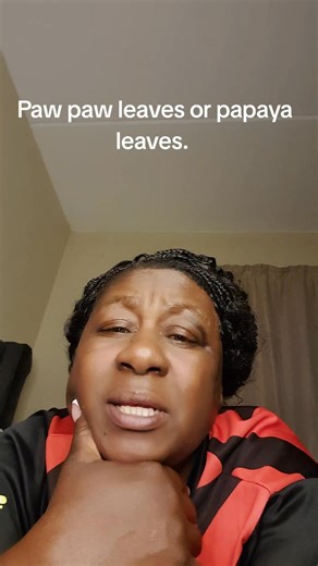 A gentle internal cleanser,bloating, gas,stomach pains and bowel movement. All these are cured by papaya leaves/paw paw leaves #fypシ | Mai Tanaka