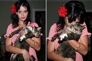 Katy Perry left heartbroken after her cat Kitty Purry dies
