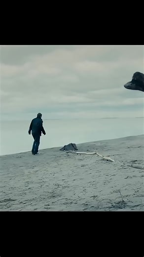 You Won’t Believe What Happens Next 😱 Pure Hollywood Magic A Scene You Can’t Forget Hollywood at Peak Level 💥#hollywood #movies #movieclips #films #cinema #cinematic #filmclip #movieedit #scenes #bestscene #epicscene #movielovers #filmbuff #moviecommunity #entertainment #reels #reelsvideo #shorts #shortvideo #viral #viralvideo #viralvideos #trending #trendingnow #fyp #foryou #foryoupage #explore #explorepage #tiktoktrend #tiktokmovies #tiktokreels #usa #unitedstates #america #uk #england #lond