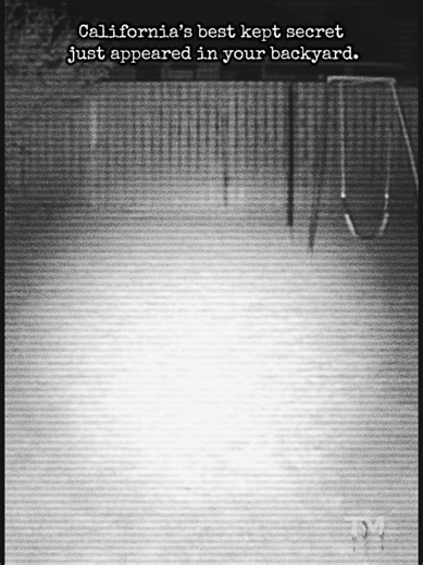 Fresno Nightcrawlers: Paranormal Sightings in California