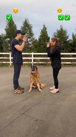 Rematch? She cheated, I swear 😂 . . . . . #dogslife #dog #dogsofinstagram #doglover #dogmom #DogOwners #doggolife #dogsoffacebook #dogofinstagram #doglovers #dogofinsta #dogoftheday #doggosofinstagram #huskynation #huskyworld #husky #huskylove #huskylovers #doggos #doggo #greatdanelife #greatdanesofinstagram #greatdanesunleashed #germanshepherd #germanshepherd #germanshepherddog #germanshepherdlove #germanshepherdsofinstagram #germanshepherddog #germanshepherdworld | Thegoodhype