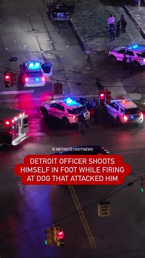 🚨A Detroit police officer was injured after being shot in the foot during an investigation Tuesday night. The incident happened in the area of Outer Drive and Lyndon Street while officers were responding to a police run and checking vehicles. A person from one of the cars let the pitbull out of the car to attack the officers. Police say a pitbull ran toward and attacked the officer. The officer accidentally shot himself in the foot, and the dog was also struck. The officer was taken to the hosp