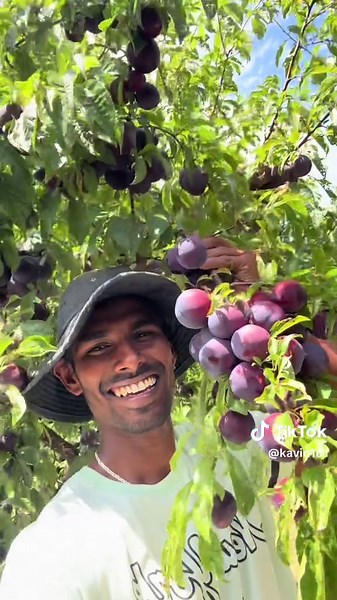 Discovering Authentic Aussie Foods and Dishes