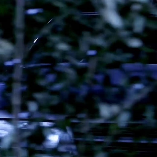 Shorts Menia on Instagram: "Bride of Chucky (1998):Bride of Chucky is a 1998 American black comedy slasher film directed by Ronny Yu and written by Don Mancini. The film stars Jennifer Tilly as Tiffany, Brad Dourif as the voice of Chucky, John Ritter, Katherine Heigl, and Nick Stabile. Produced and released by Universal Pictures, it is the fourth installment in the Child's Play franchise. The film blends horror and dark comedy and focuses on Chucky and Tiffany as dolls possessed by the souls of