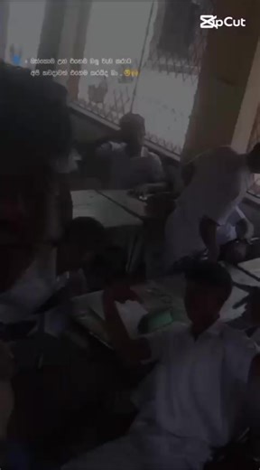 gihan chamoth (@gihan.chamoth76)’s videos with original sound - gihan chamoth