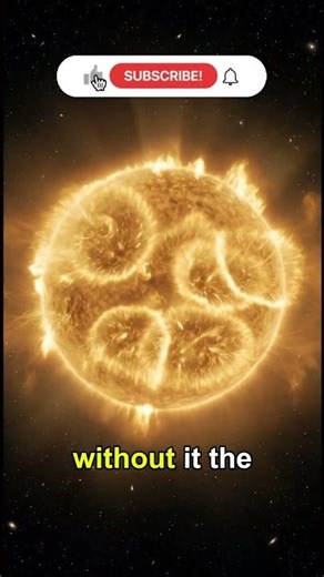 The Four Forces That Hold the Universe Together