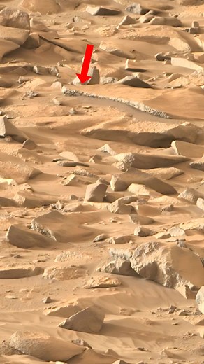This image shows the rock formations on the surface of Mars, millions of kilometres away from Earth. 🪨🔴 The strange shapes and layers may have formed over billions of years through volcanic activity, wind erosion, and possibly even ancient water flow.Each rock tells a small part of Mars’ story a planet that once might have been more like Earth. The more we explore, the closer we come to understanding the mysteries of the Red Planet. #space #SpaceX #NASA #fblifestyle | Space Journey