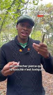 Tout savoir sur les champignons (Partie 1/2)