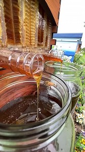 I don’t do many reviews, but I can’t not on this product. I’ve always wanted to keep bees on the farm but the time and mess of the traditional methods always turned me off some. But, I discovered FlowHive. Got a Flow Hive Classic, then a Flow Hive 2, and I am blown away by the FH2. I just harvested my first honey from the FH2 and it is amazing! And it is so simple to get started, yet there is seemingly endless learning, which I also enjoy. I’d recommend FH to anyone who has a spot in their heart