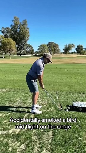Randy Johnson (wait for it) Via chollz/reddit #golf #golftok #golftiktok #fyp